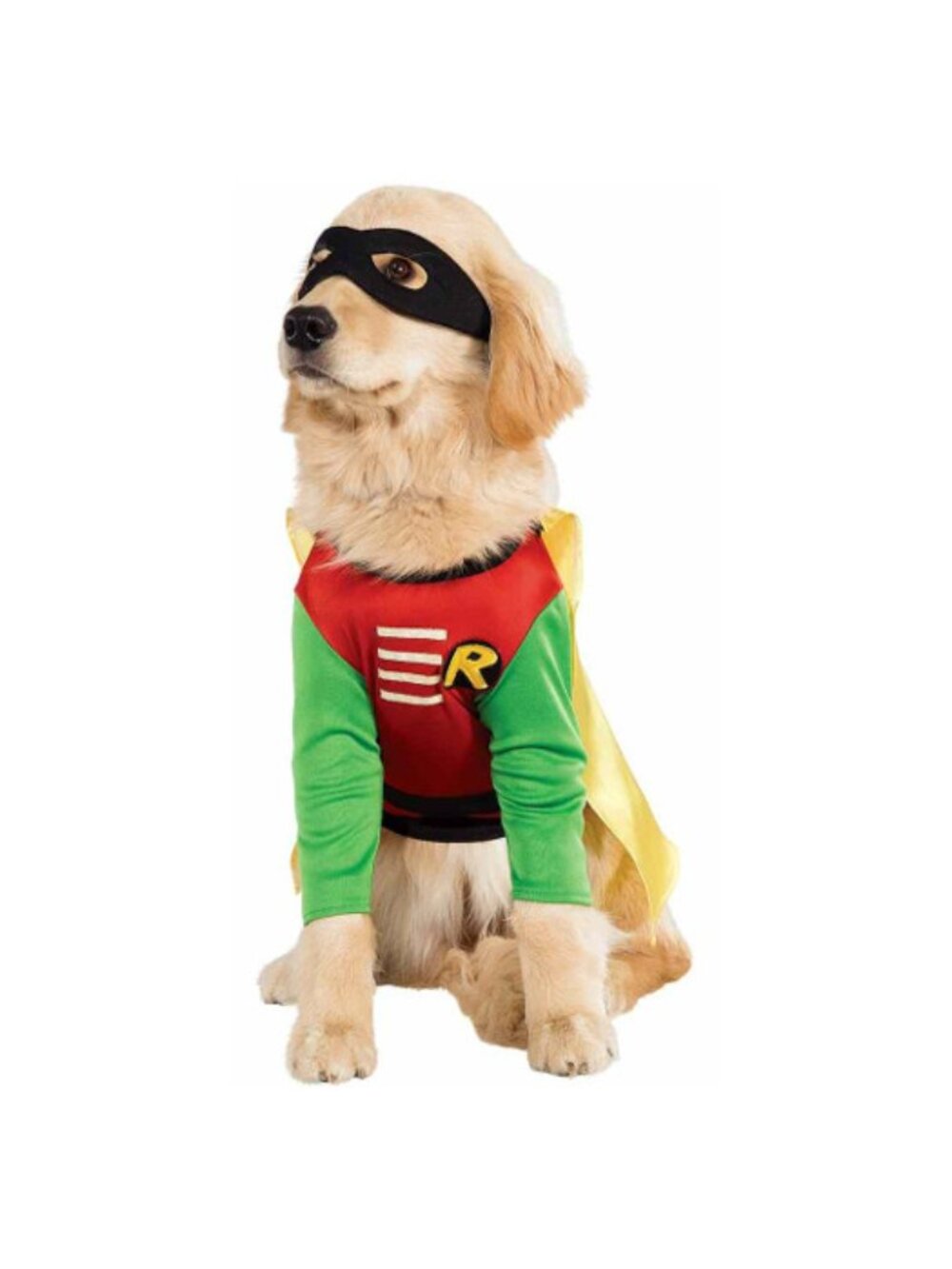 Robin Batman DC Comics Teen Titans Superhero Halloween Pet Dog Cat Costume
